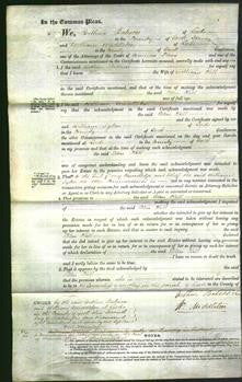 Court of Common Pleas - Ellen Hill-Original Ancestry