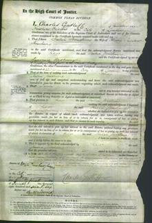 Court of Common Pleas - Julia Strachan-Original Ancestry