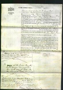 Court of Common Pleas - Ann Staples-Brown-Original Ancestry