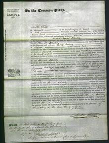 Court of Common Pleas - Hannah Whiteley-Original Ancestry