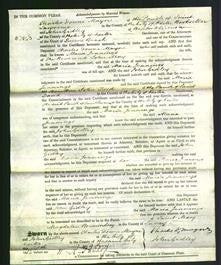 Court of Common Pleas - Maria Jennings May-Original Ancestry