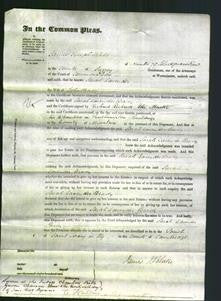 Court of Common Pleas - Sarah Lavender Rayner Brady-Original Ancestry