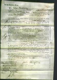 Court of Common Pleas - Sarah Walker-Original Ancestry