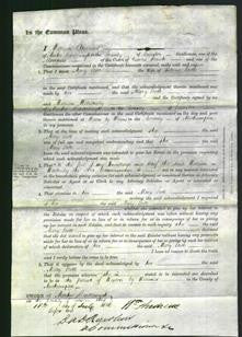 Court of Common Pleas - Mary Scott-Original Ancestry