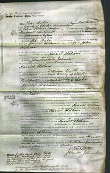 Court of Common Pleas - Harriet Oldham-Original Ancestry