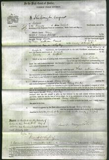 Court of Common Pleas - Mary Clarke-Original Ancestry