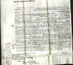 Court of Common Pleas - Victoria Mary Louisa Cust Yorke-Original Ancestry