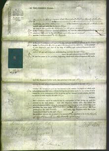 Court of Common Pleas - Eliza Salmon-Original Ancestry