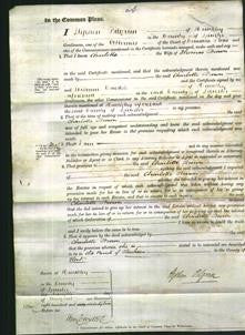 Court of Common Pleas - Charlotte Brown-Original Ancestry