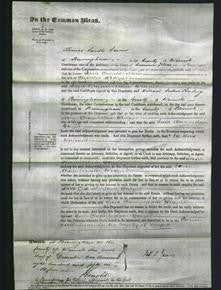 Court of Common Pleas - Jane Chamberlain Brazier-Original Ancestry