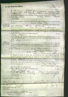 Court of Common Pleas - Eliza Rayns-Original Ancestry