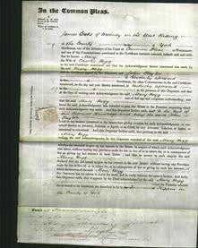 Court of Common Pleas - Mary Hogg-Original Ancestry