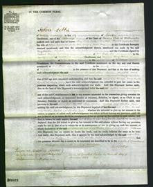 Court of Common Pleas - Mary Martha White, Elizabeth Carpenter Martha Joules Bones-Original Ancestry