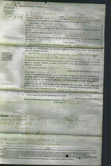 Court of Common Pleas - Elizabeth Ann Cash-Original Ancestry