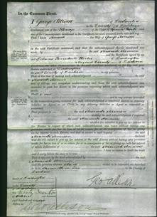 Court of Common Pleas - Hannah Harrison-Original Ancestry