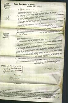 Court of Common Pleas - Fanny Cecilia Tubbs-Original Ancestry