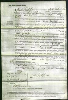 Court of Common Pleas - Dora Gatliff-Original Ancestry