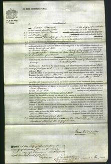 Court of Common Pleas - Sarah Hill-Original Ancestry