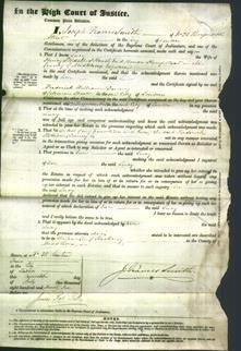 Court of Common Pleas - Lucy Stedall-Original Ancestry