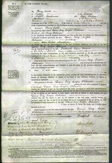 Court of Common Pleas - Lucy Cooper Robinson-Original Ancestry