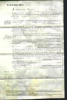 Court of Common Pleas - Elizabeth Wallis-Original Ancestry