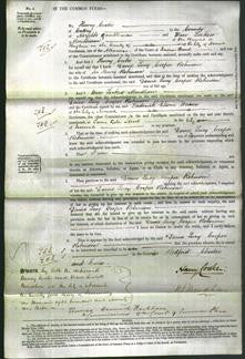 Court of Common Pleas - Lucy Cooper Robinson-Original Ancestry