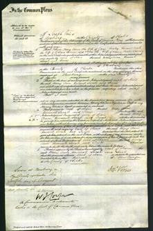 Court of Common Pleas - Mary Ann Lausley, Hannah Sarah Barnes and Jane Sperring-Original Ancestry