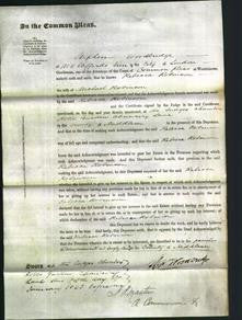 Court of Common Pleas - Rebecca Robinson-Original Ancestry