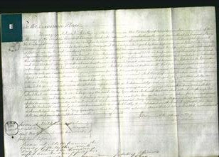 Court of Common Pleas - Mary Gunstone-Original Ancestry