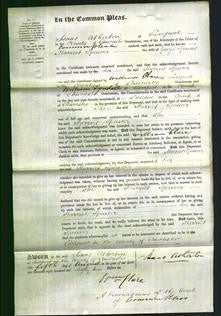 Court of Common Pleas - Harriet Spencer-Original Ancestry