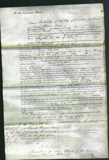 Court of Common Pleas - Elizabeth Davis-Original Ancestry