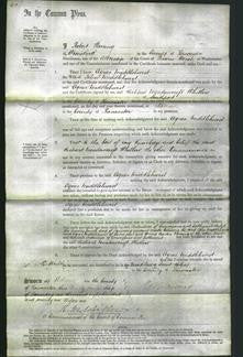 Court of Common Pleas - Agnes Middlehurst-Original Ancestry