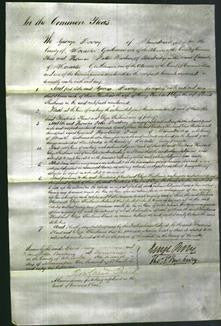 Court of Common Pleas - Theodosia Plant, Eliza Shorthouse-Original Ancestry