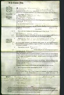 Court of Common Pleas - Elizabeth Eve and Catherine Mary Walford-Original Ancestry