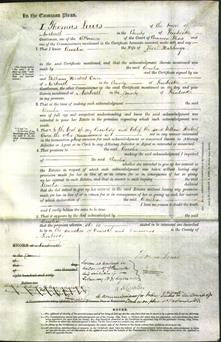 Court of Common Pleas - Amelia Hitchings-Original Ancestry