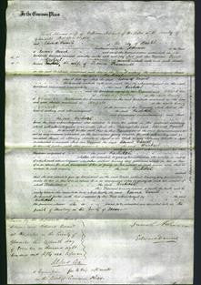 Court of Common Pleas - Rachael Scammell-Original Ancestry