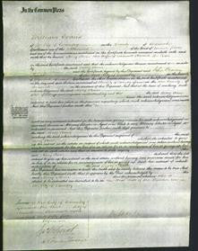 Court of Common Pleas - Mary Anne Howard-Original Ancestry