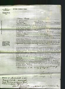 Court of Common Pleas - Anna Whiting-Original Ancestry