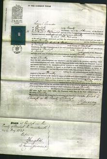 Court of Common Pleas - Dorothy Williams-Original Ancestry