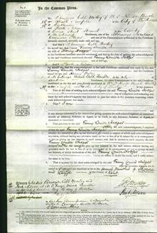 Court of Common Pleas - Fanny Louisa Hodges-Original Ancestry