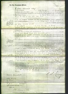 Court of Common Pleas - Mary Pedler and Sarah Anne Tucker-Original Ancestry