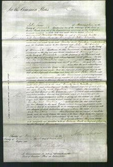 Court of Common Pleas - Caroline Charlon and Emily Auster-Original Ancestry