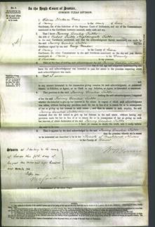 Court of Common Pleas - Fanny Cecilia Tubbs-Original Ancestry