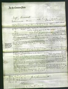 Court of Common Pleas - Mary Atkinson-Original Ancestry