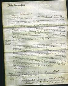 Court of Common Pleas - Martha Wright-Original Ancestry