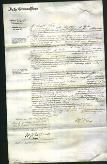 Court of Common Pleas - Mary Ann Lausley, Hannah Sarah Barnes and Jane Sperring-Original Ancestry