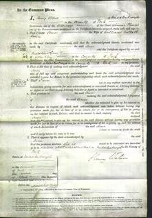 Court of Common Pleas - Ann Wain-Original Ancestry