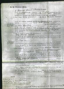 Court of Common Pleas - Lucy Emma Bowen-Original Ancestry