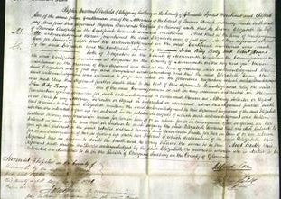 Court of Common Pleas - Elizabeth Dutfield-Original Ancestry