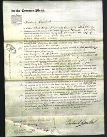 Court of Common Pleas - Emily Ann Charlotte Liddell and Cecil Elizabeth Liddell-Original Ancestry